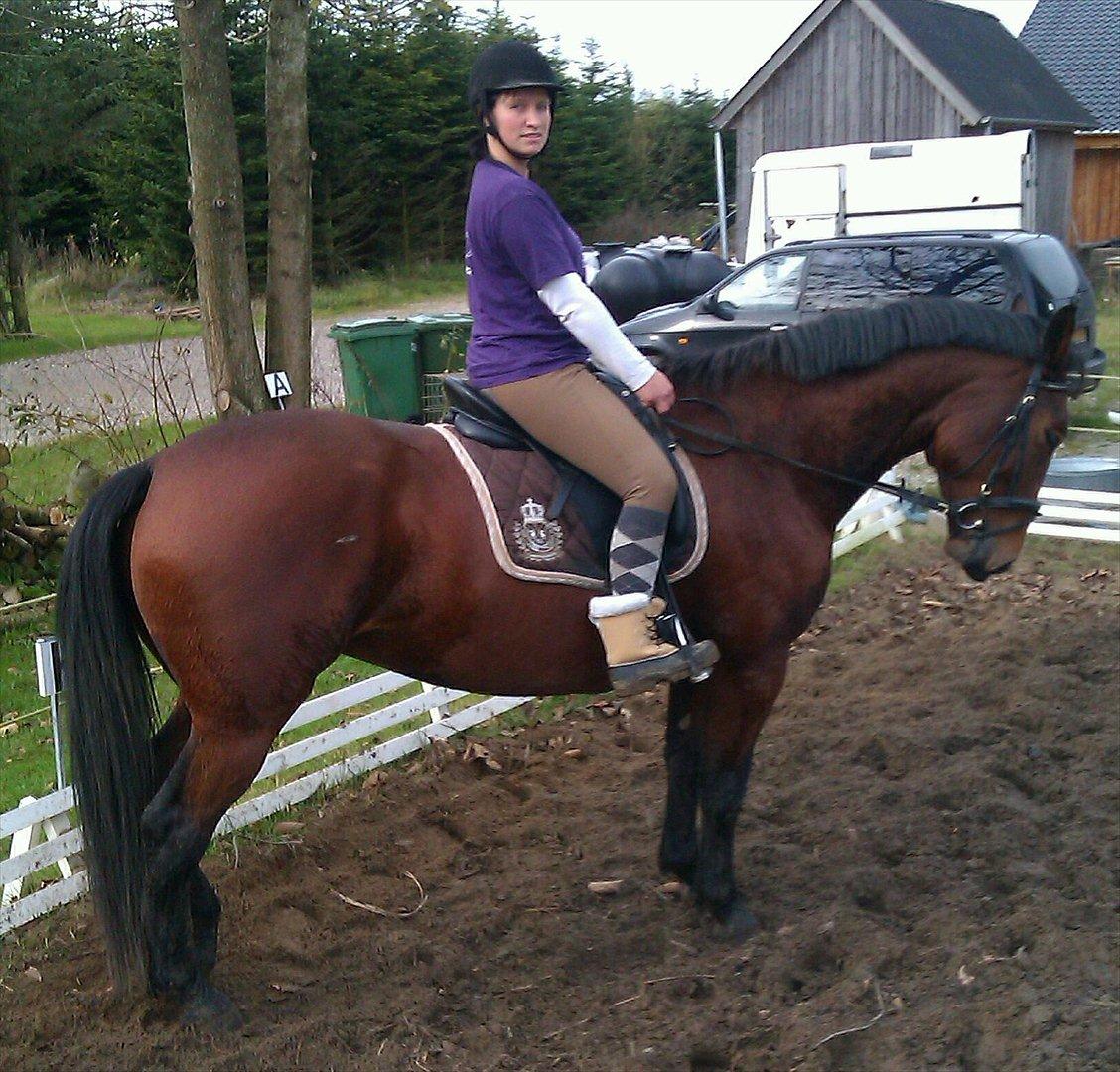 Anden særlig race Ziva Davîd  - Juli 2011 billede 11