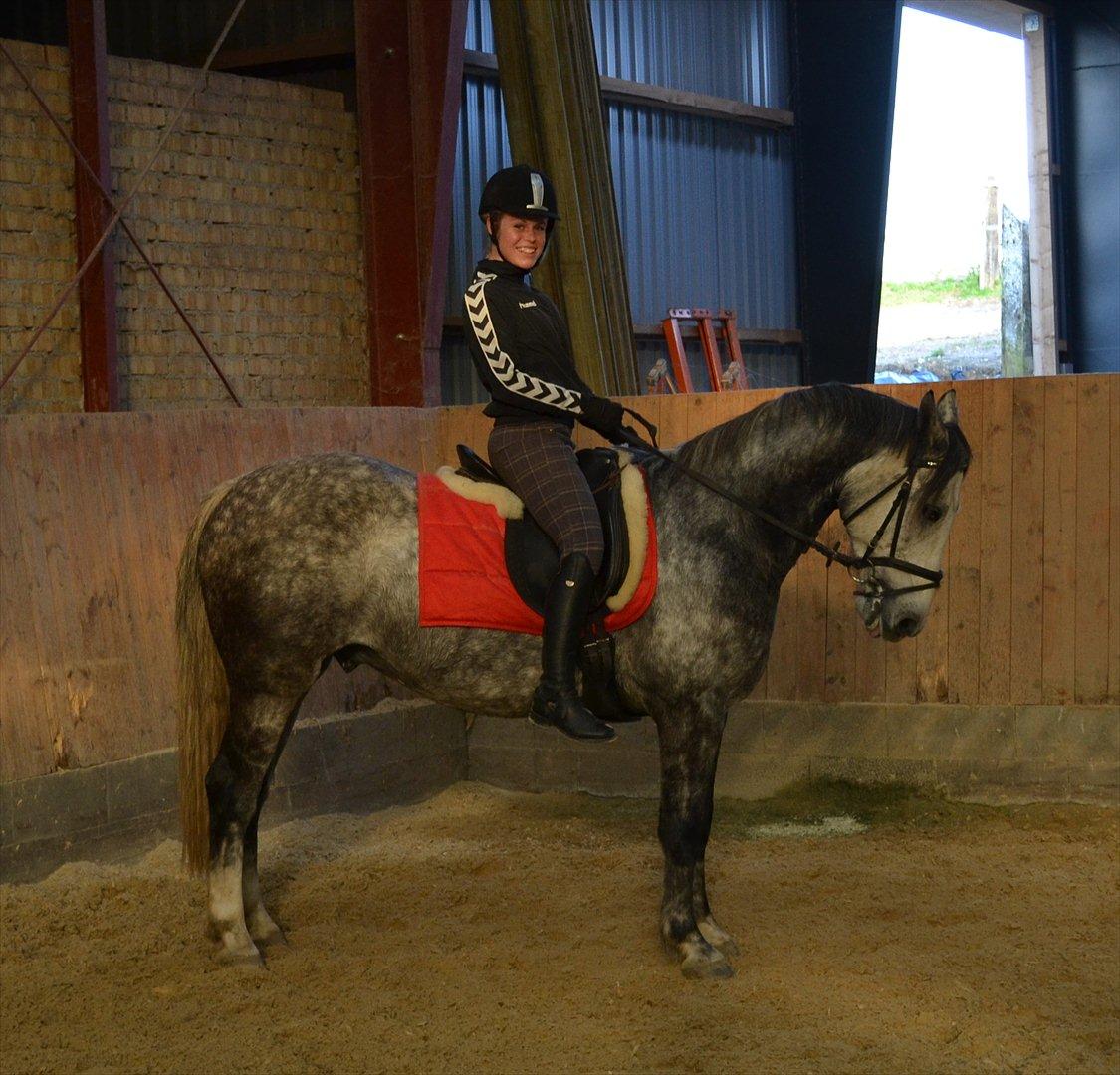 Anden særlig race Felix  (redet) - Foto: Maria billede 8