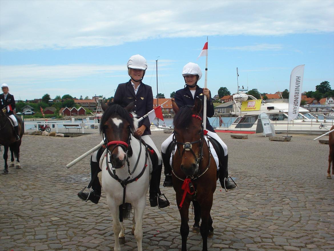 New Forest Alina - Alina og viller  billede 6