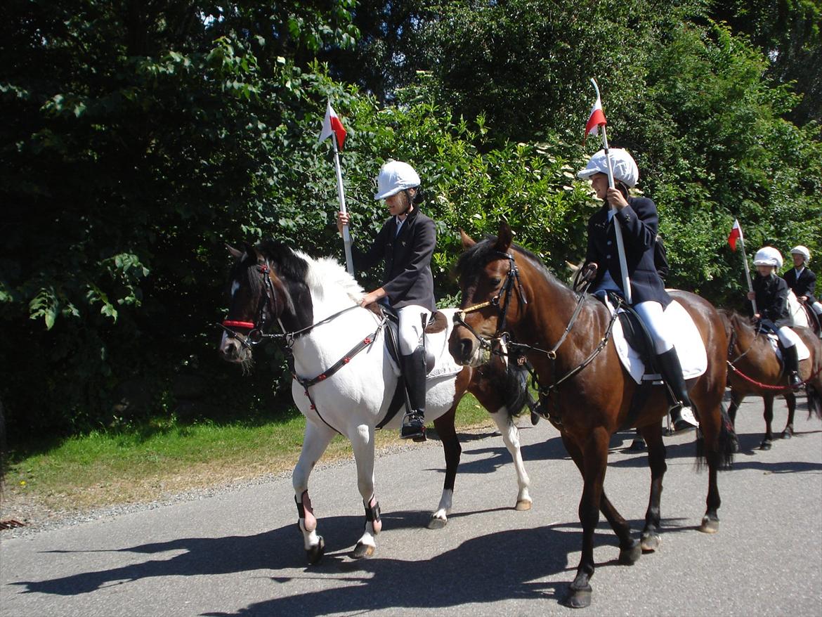 New Forest Alina - Alina og Viller til Hørup ringeridning  billede 11