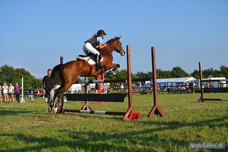 Anden særlig race Kehops De Nonville - når enden er god er alting godt<3 billede 18