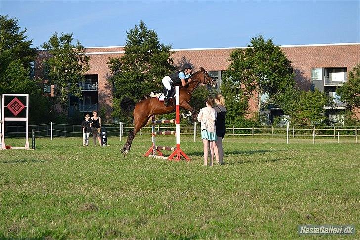 Anden særlig race Kehops De Nonville - du gjorde mine drømme til virkelighed billede 19