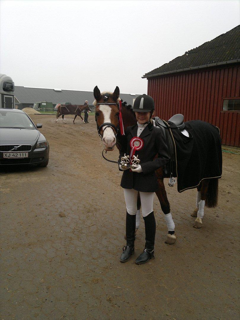 Anden særlig race Millenium Star    -Dressur stjerne<3 - Oktober 2011 billede 11