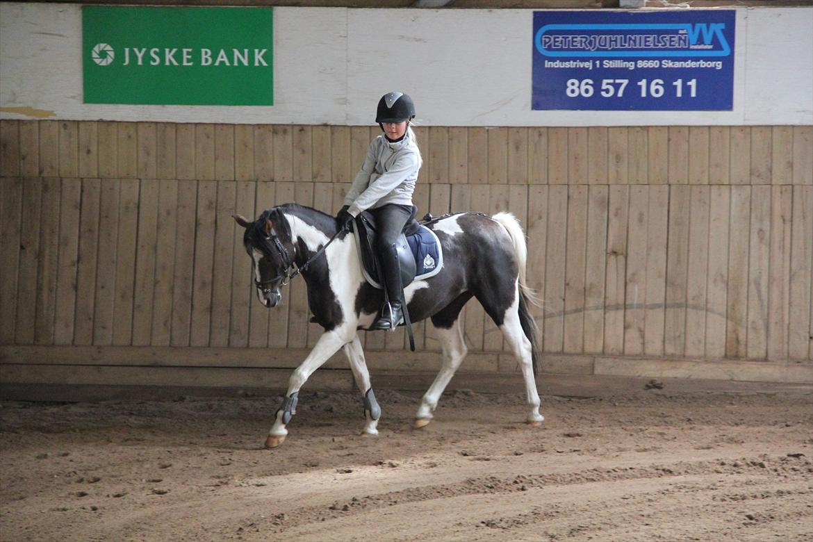 Pinto Indy - En skøn dag :) billede 9