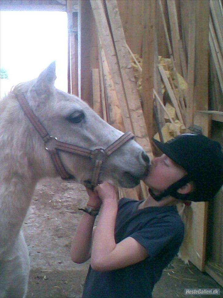 Dartmoor Fie l Min Fi's :-* - Kæmpe møs- Fra den bedsteste Fi's :-* billede 3