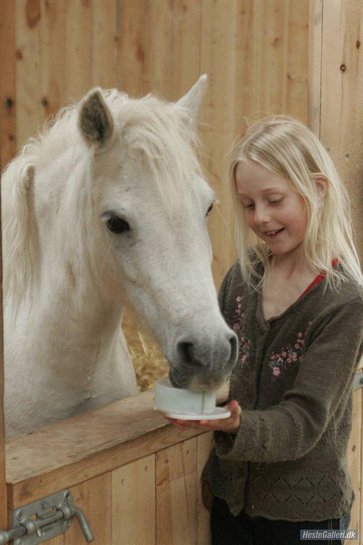 Dartmoor Fie l Min Fi's :-* billede 5