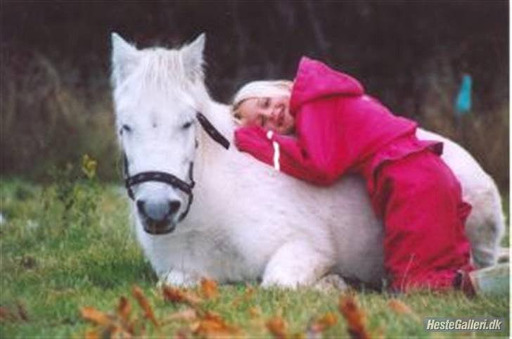 Dartmoor Fie l Min Fi's :-* - Et af mine yndlings billeder af Fie. Jeg syntes dette billede viser at hun stoler på mig... :-* billede 11