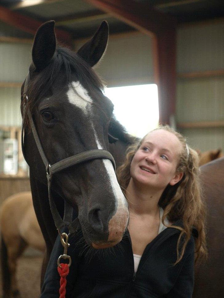 Holstener Jasmin billede 15