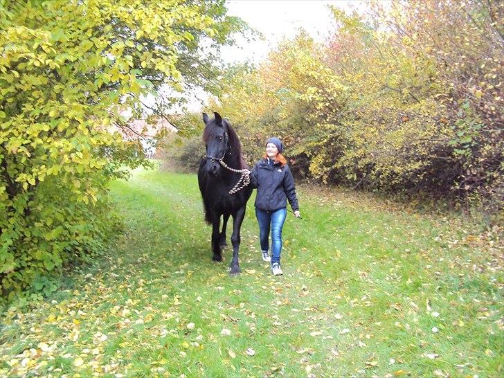 Frieser Wietske billede 11