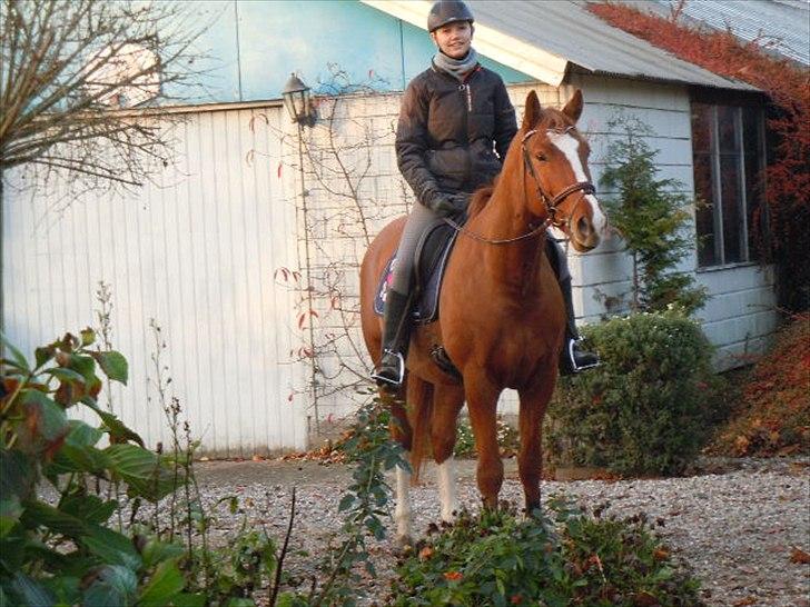 Anden særlig race Casino Royal - Første tur hjemme billede 4