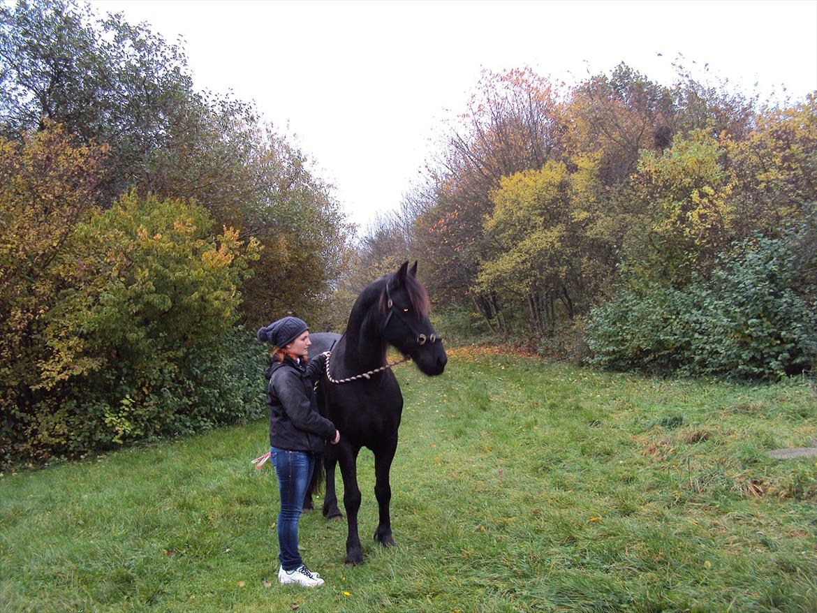 Frieser Wietske billede 12