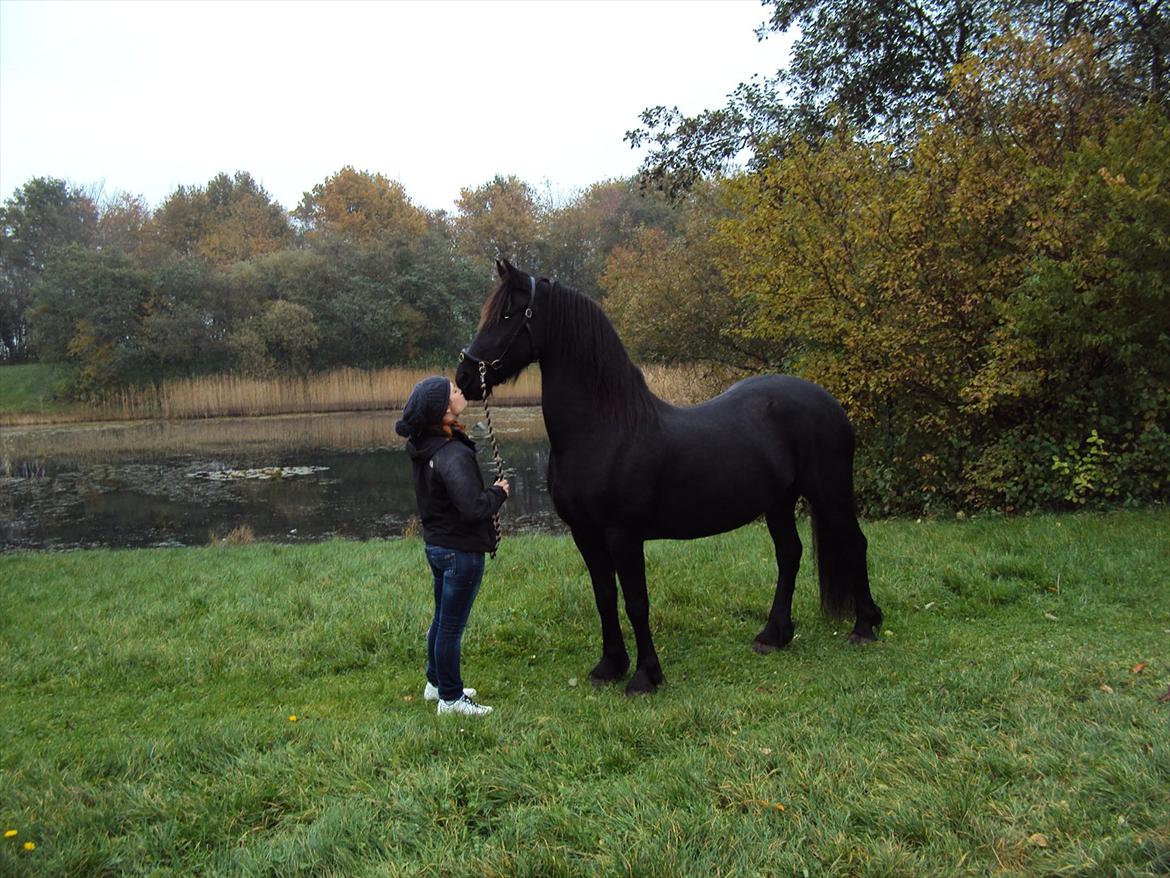 Frieser Wietske billede 13