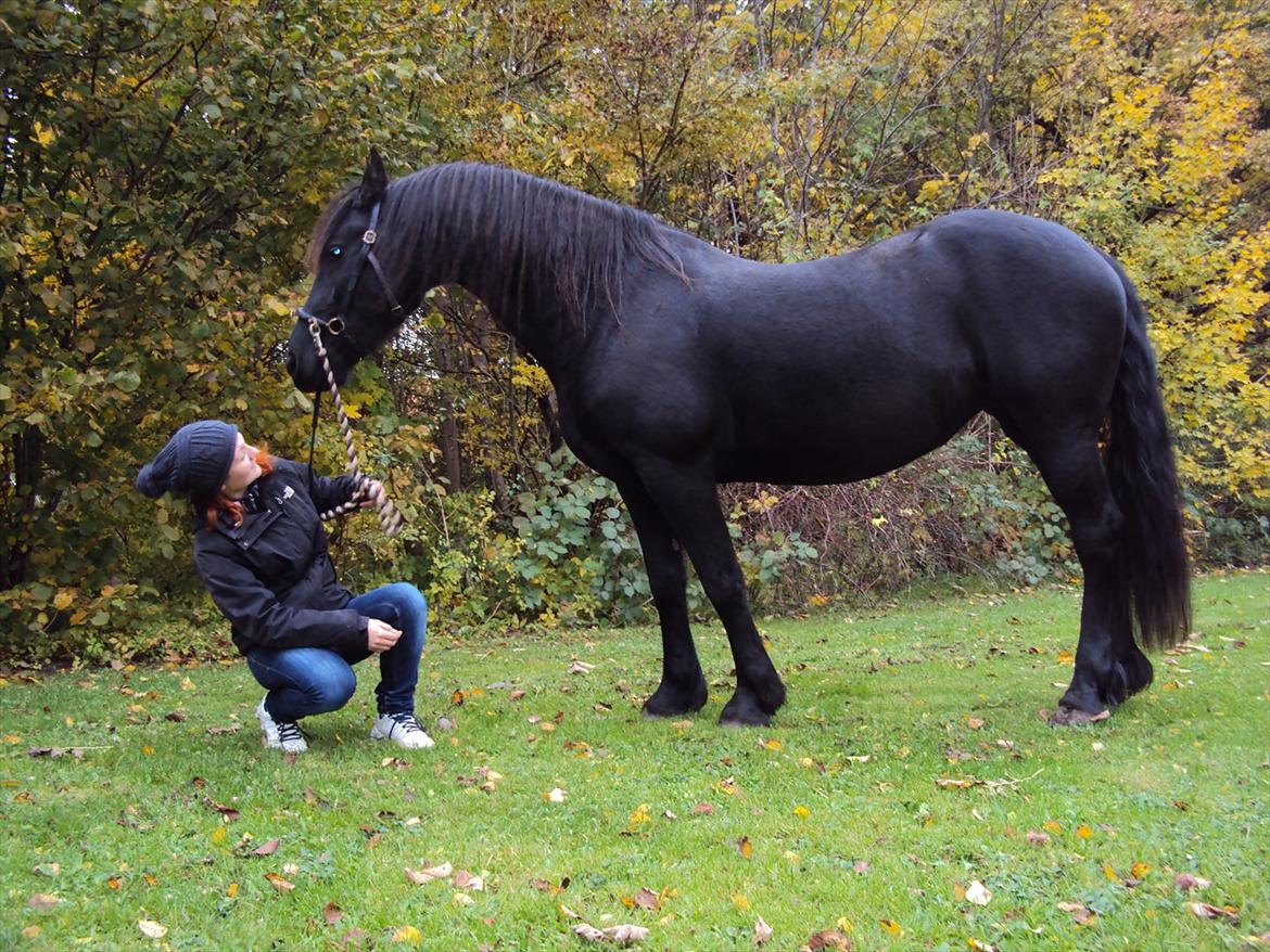 Frieser Wietske billede 14