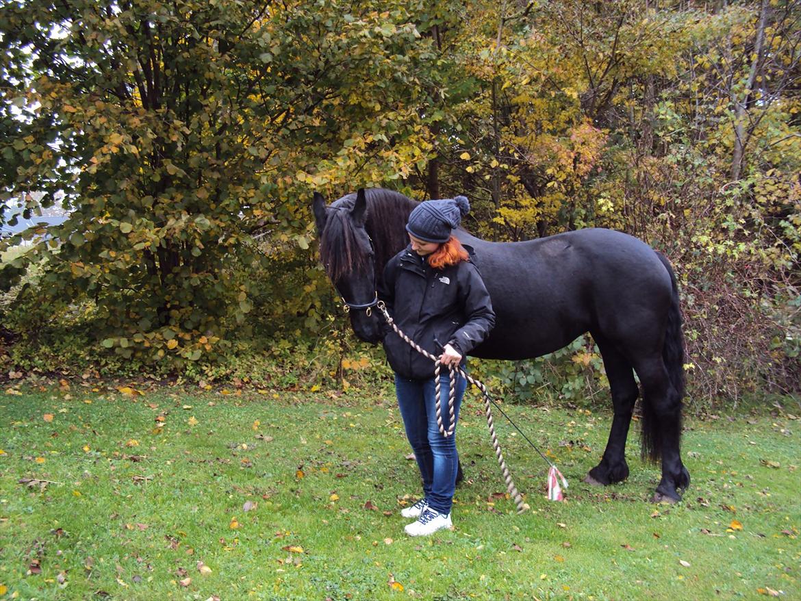 Frieser Wietske billede 15