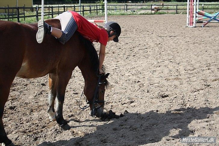 Anden særlig race Laban |*Mit ét og alt<3*| - Mit ét og alt!!!!!<3 :´) billede 18