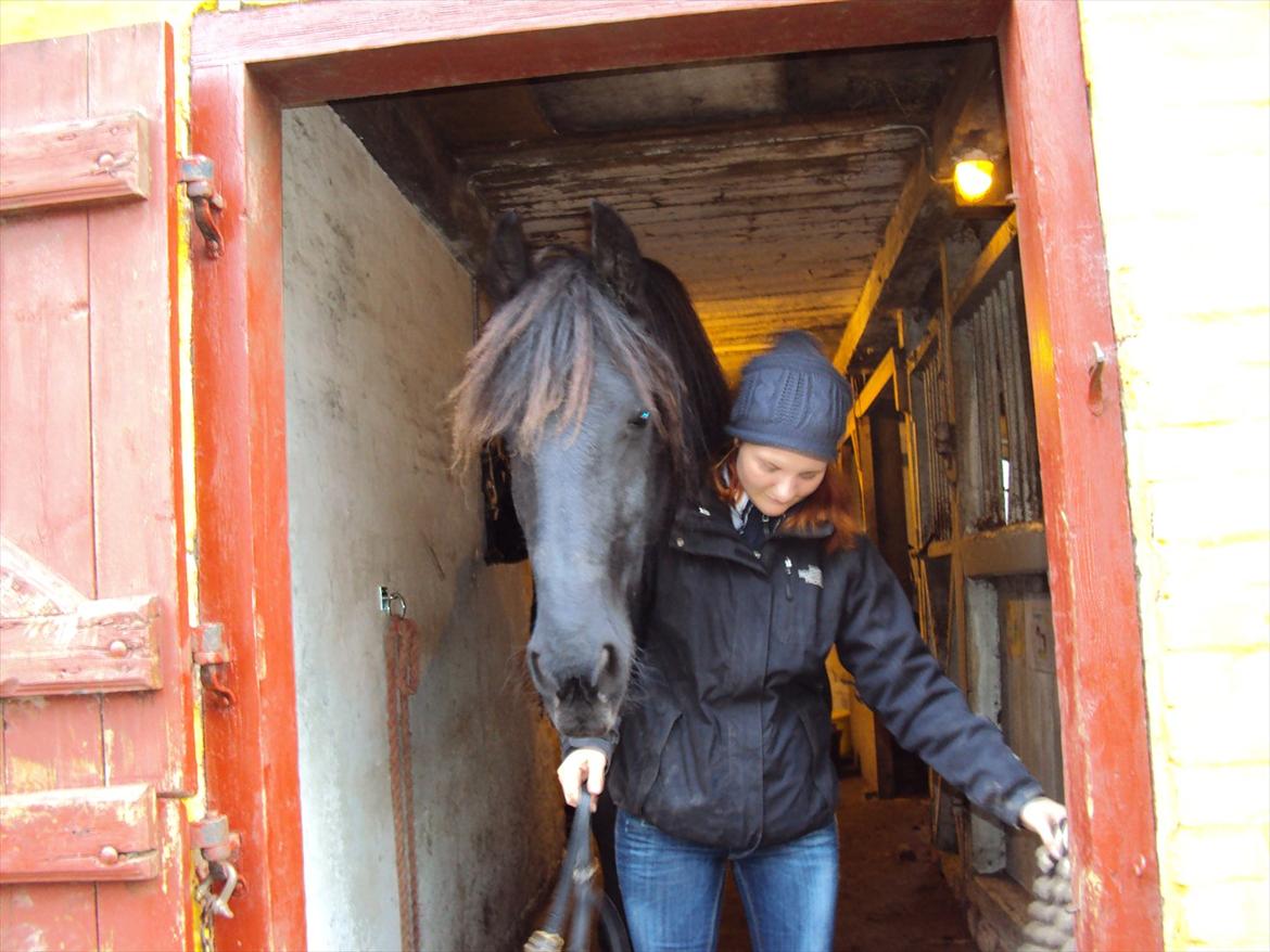 Frieser Wietske billede 16