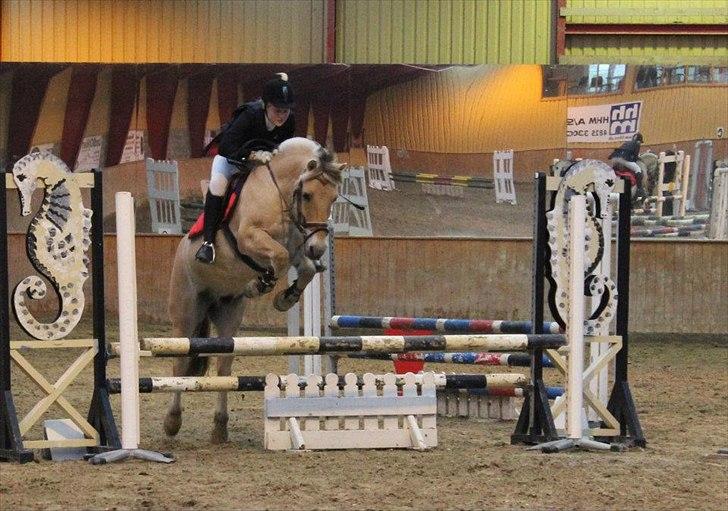 Fjordhest Holger| Den Bedste! | - 70 cm, HIS. 6 plads.

"one day when the sky is falling, I'll be standing right next to you<3. billede 8