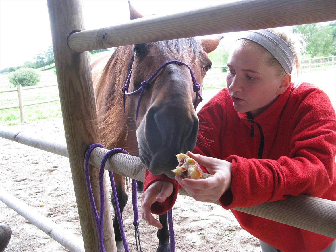 Anden særlig race Claus billede 20