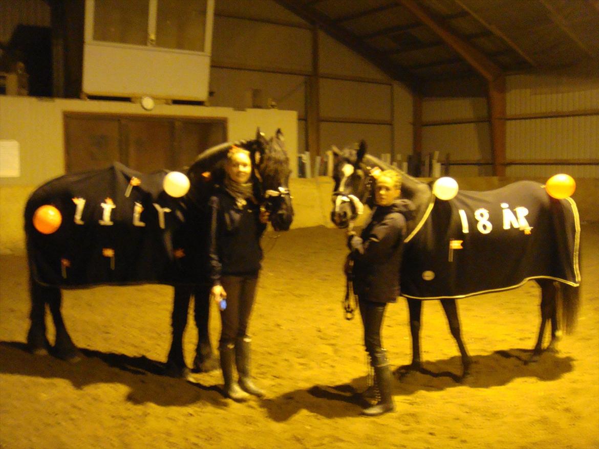 Sportsaraber (A) helleruphus pandora - tornado og pandora har fået skrevet LILY 18 år på mavserne som sulle bruges til et kort :) så ved hun hvad en ballon er ;) billede 13