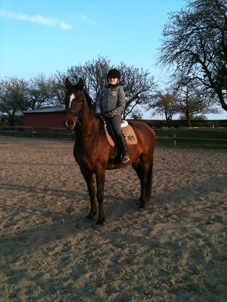 Anden særlig race Dalshøj Malina billede 2