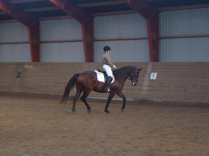 Anden særlig race Dalshøj Malina - Inden vores første rigtige stævne LD1 og LD2 billede 4