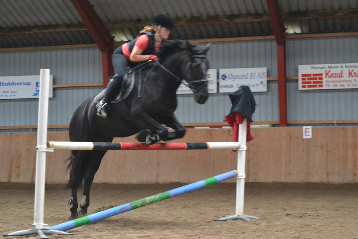 Anden særlig race Fie * My soulmate* <3 - Fie over en meter :-)<3 elkser dig prinsesse!<3

Foto: Anne Sofie Poulsen :-). billede 3