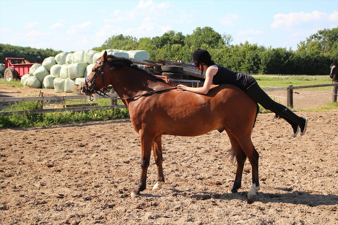 Anden særlig race  Pardo - A Part Of Me! :* -  ” Det `det, der gør dig helt uopnåelig, det `det der gør dig uimodståelig ” ! (y). Foto: Tenna Andersen!  billede 20