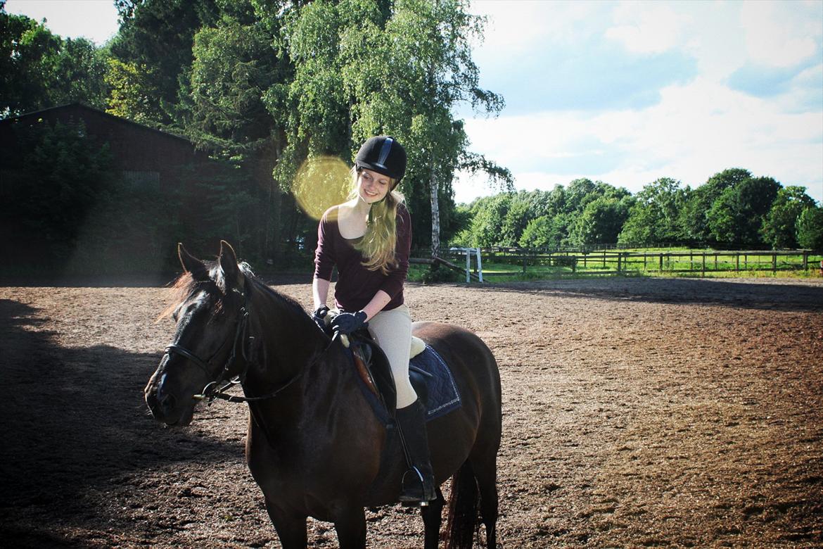 Anden særlig race Just Ebony  billede 15