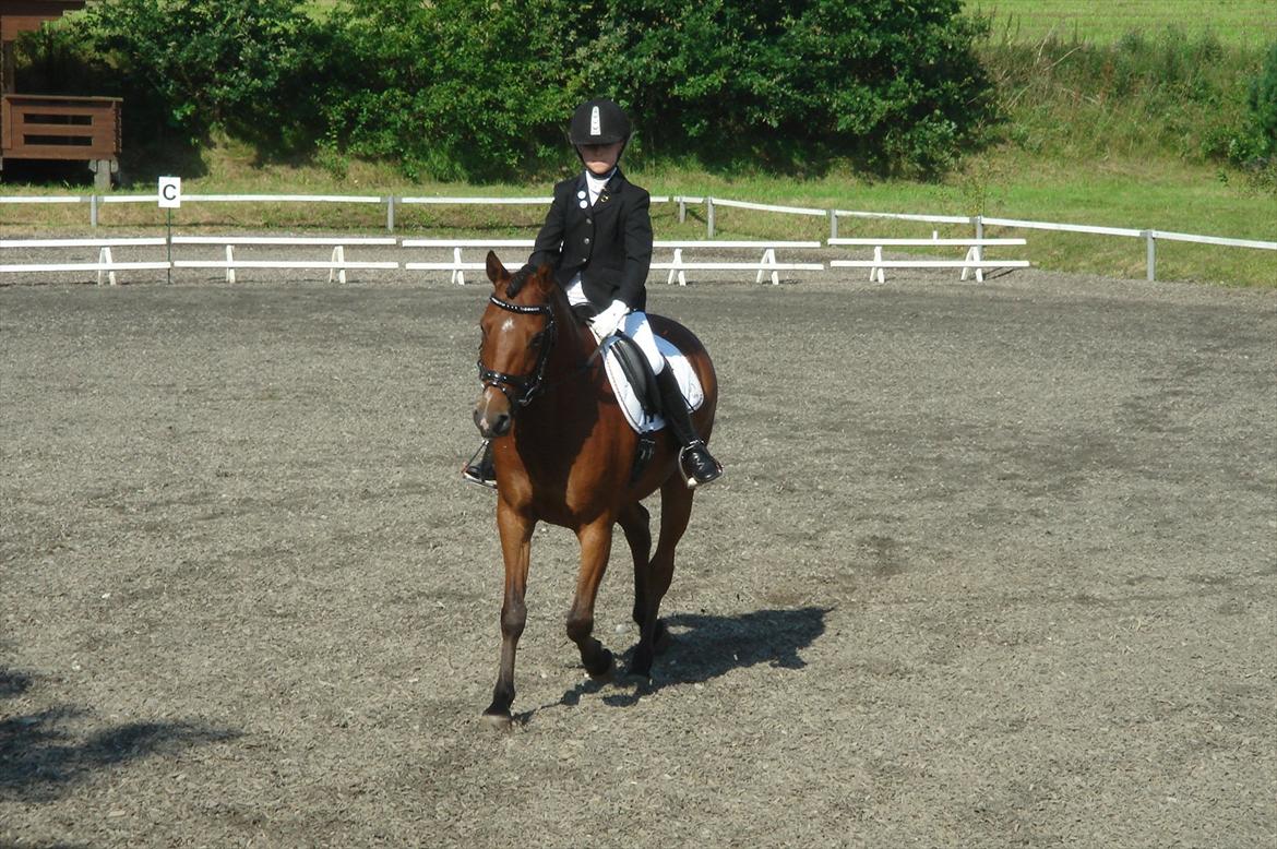 DSP Bæklunds Anizette - Vores første stævne;D 
I LOVE YOU!!!!<33 billede 8