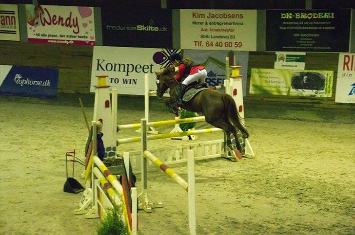 Tysk Sportspony Vario Van De Mispelaere<3 *B-pony* billede 16