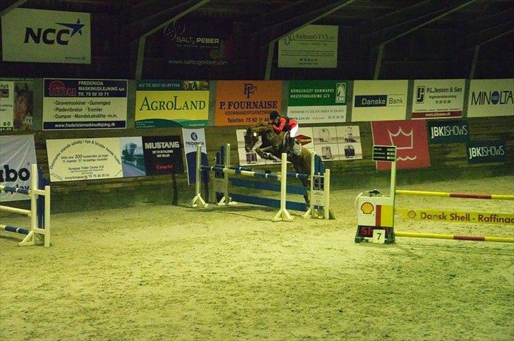Tysk Sportspony Vario Van De Mispelaere<3 *B-pony* billede 17
