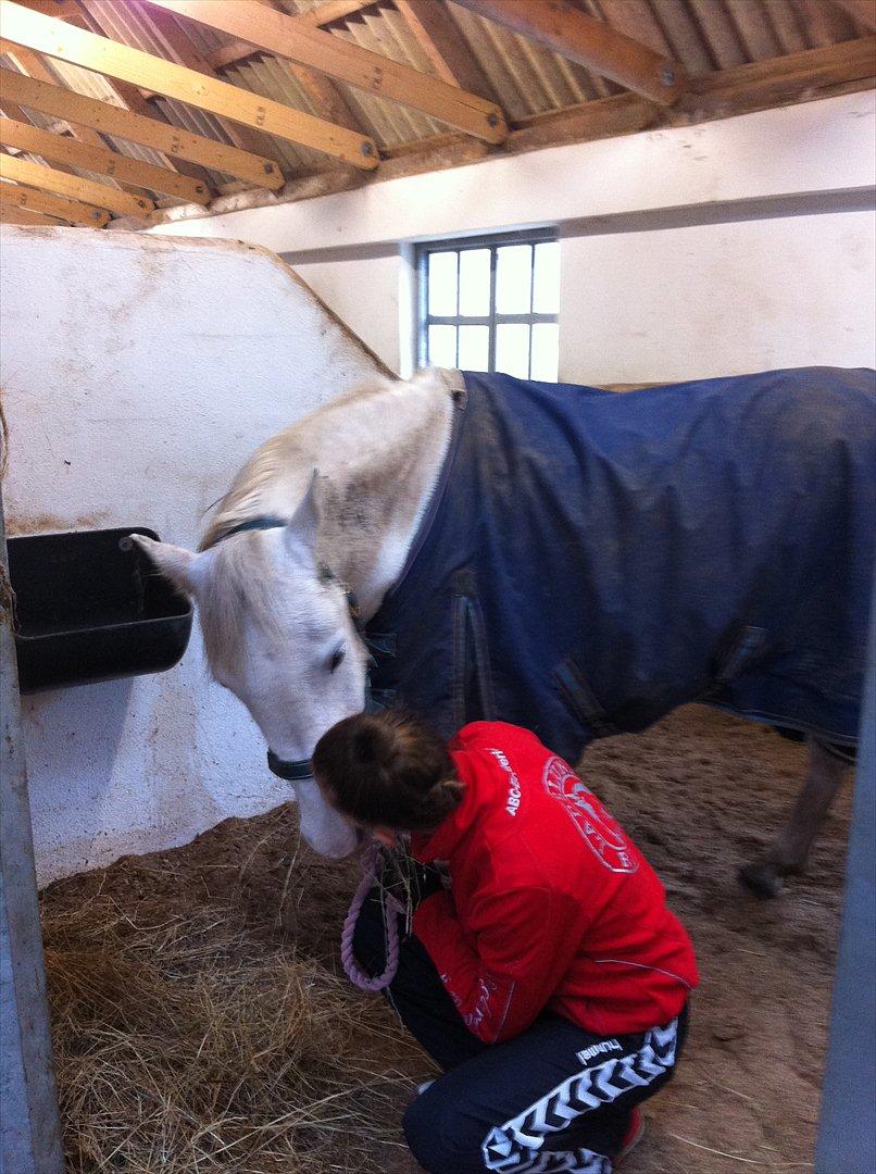 Anden særlig race Savannah - 29.10.11: Godt at se dig igen Savannah. *Foto: Jette Sørensen billede 17