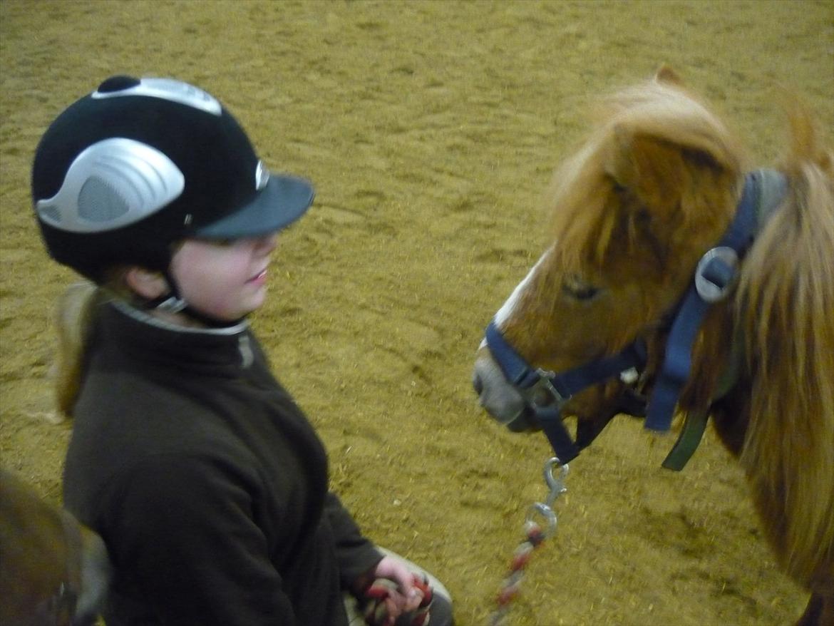 Miniature Wendeline Van Der Wilspedijk - wendeline og Mig:) billede 1