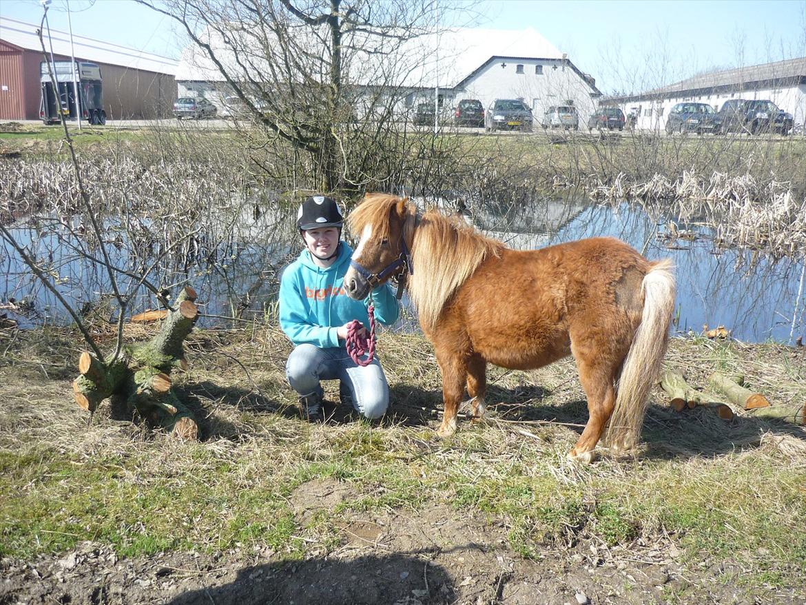 Miniature Wendeline Van Der Wilspedijk - Wendeline og Mig:) billede 5