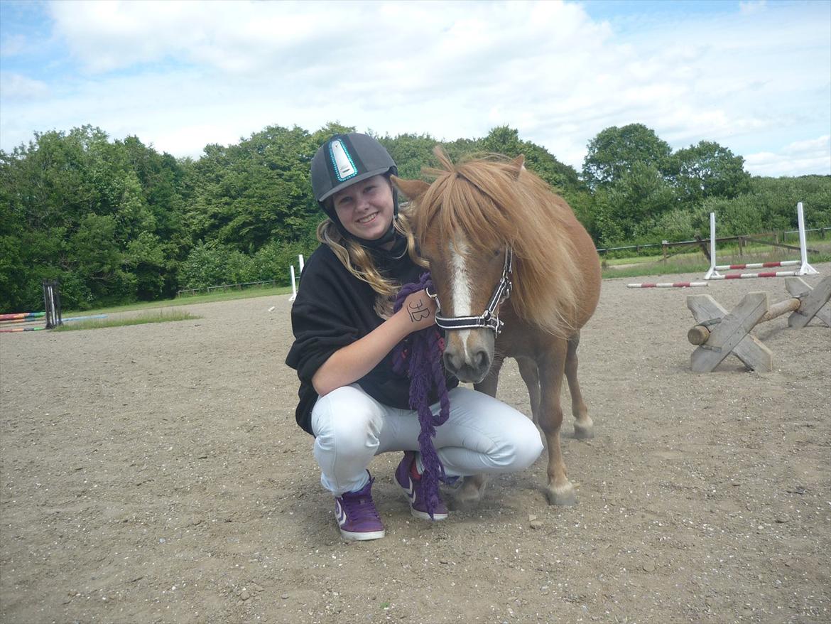 Miniature Wendeline Van Der Wilspedijk - Wendeline og Mig:) billede 10