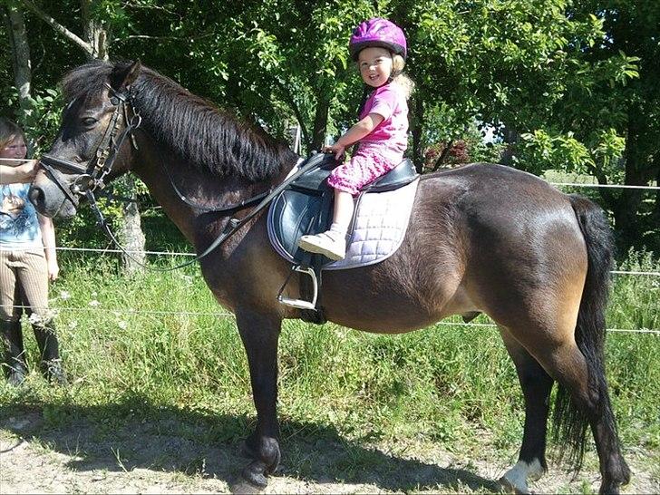 Anden særlig race Hugo - Billedet er taget da vi var oppe og prøve ham første gang. Vi var solgt til stanglakrids. Og prinsessen ville ikke ned igen :0) billede 1