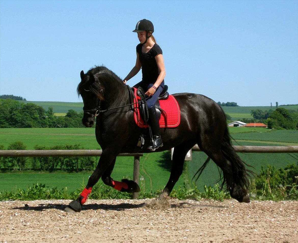 Frieser Naomi Sophie  billede 1