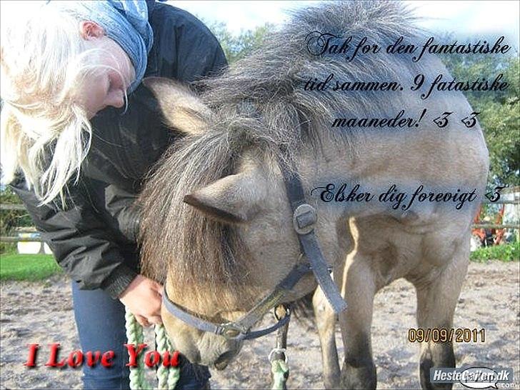 Anden særlig race Mikkel  - Lavet af Erika! 
Tak for tiden! billede 19