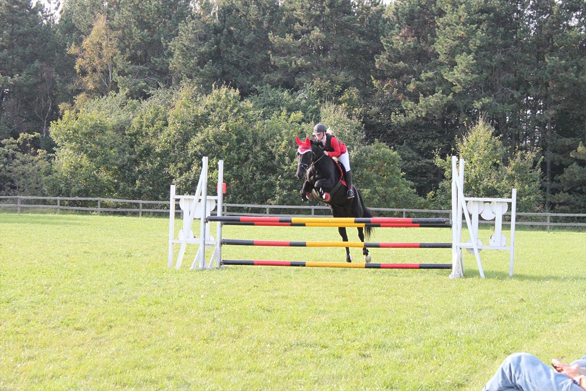 Oldenborg Shery Horsmark - LC i OHR 2011 billede 3