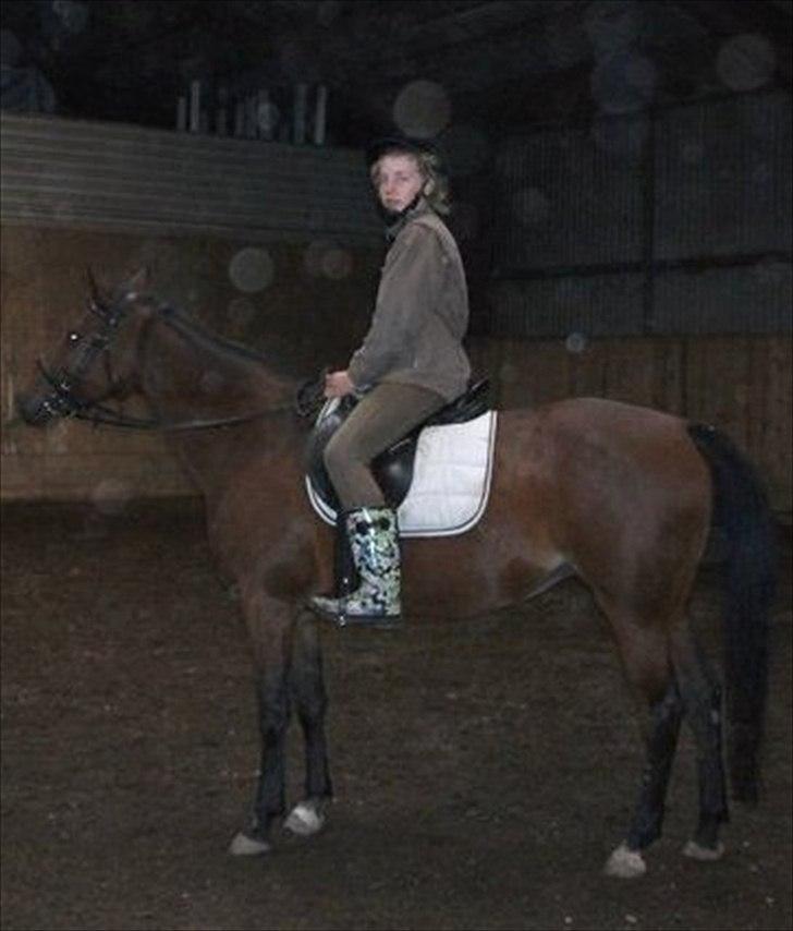 Traver Cindy Vestermarken (Aflivet) (Prinsessen<3) R.I.P - Mig på Cindy ;D

jeg havde Gummistøvler på den gang fordi mine ridestøvler var blevet for små så måtte nød til at ride med gummihakker ;D billede 15