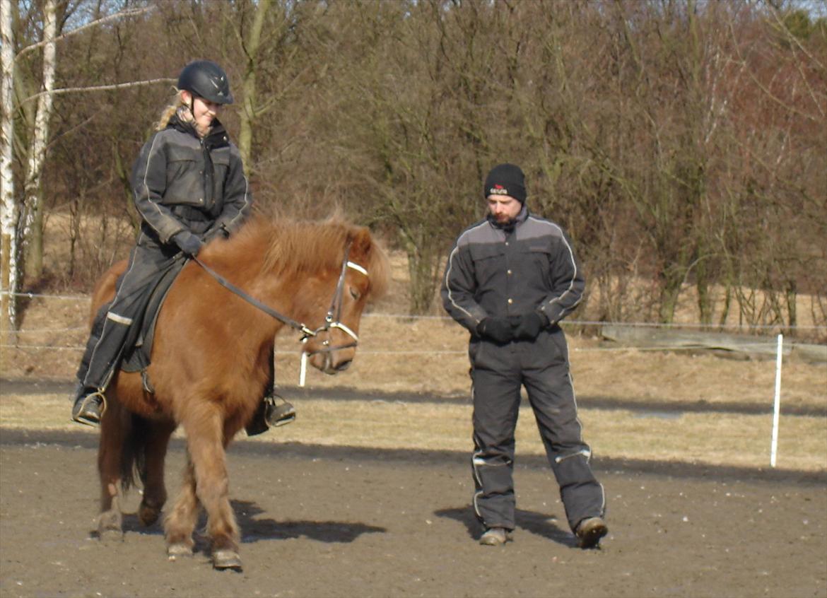Islænder Sirius Fra Eyrarbakka - NÆSTEN NYT! ;) 

iso undervisning efterår/vinter 2010 billede 20