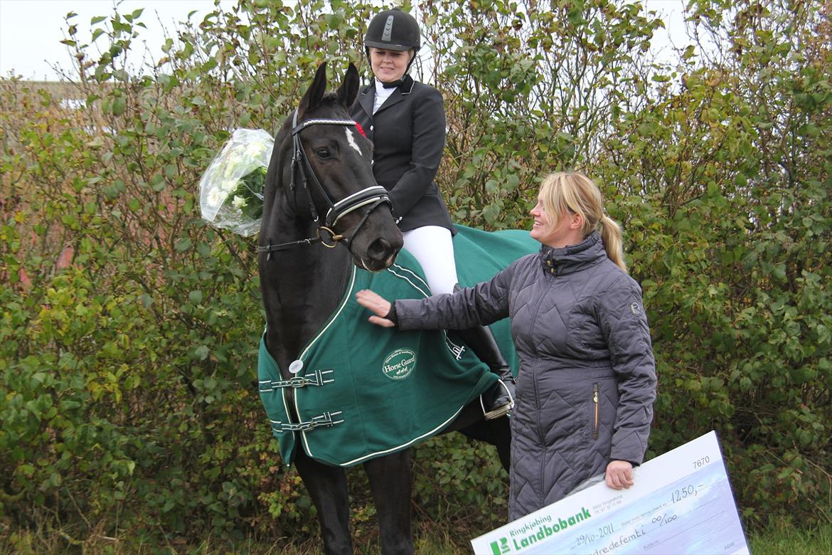 Dansk Varmblod ATNON - Atnon og jeg vandt Ringkøbing Landbobank cup med 74.5% i la3. billede 3