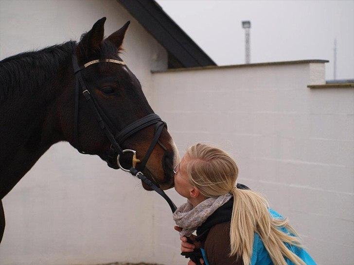 Dansk Varmblod CASOPRANO (Følle) - 3. November 2011 - de sidste billeder af Følle <3 billede 14