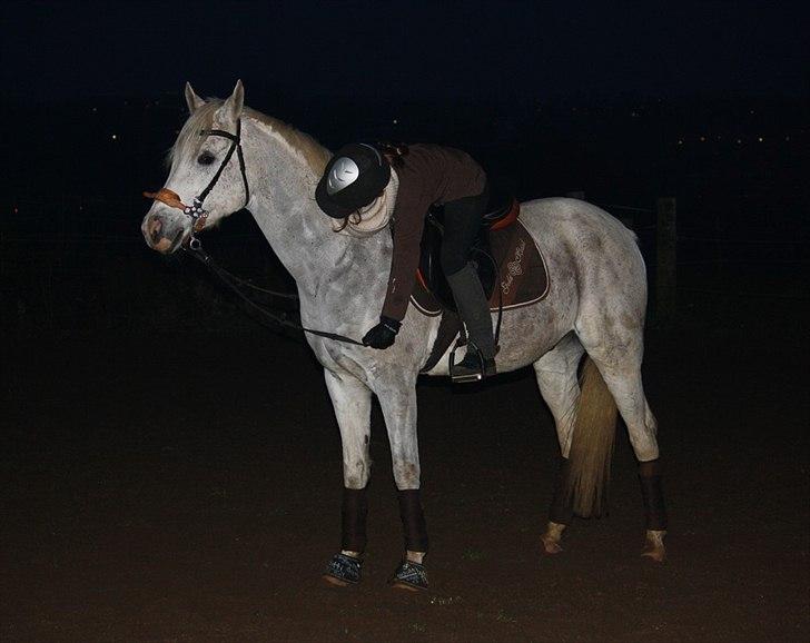 Anden særlig race White Boy - Julie og White Boy - 3. november 2011. billede 3