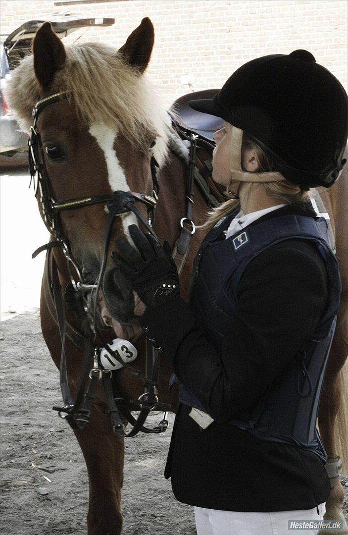 New Forest Pegasus af Bråskovgård<3 - Jeg elsker dig <3 Haha, læg mærke til hun rækker tunge<3 2011 billede 11