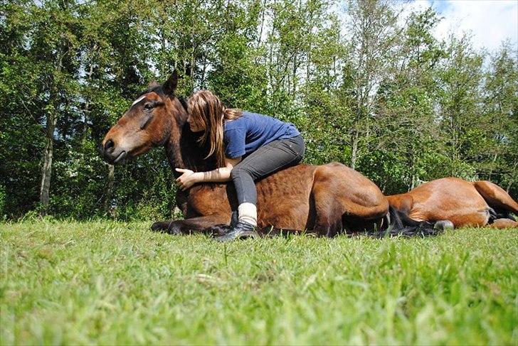 Anden særlig race Grønvangs Edward |Eddie| - Tilidsfuld billede 33