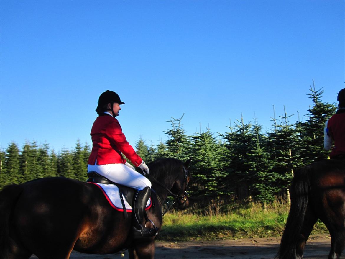 Anden særlig race Sola - Hubertus jagt i MJJR 2011 billede 4