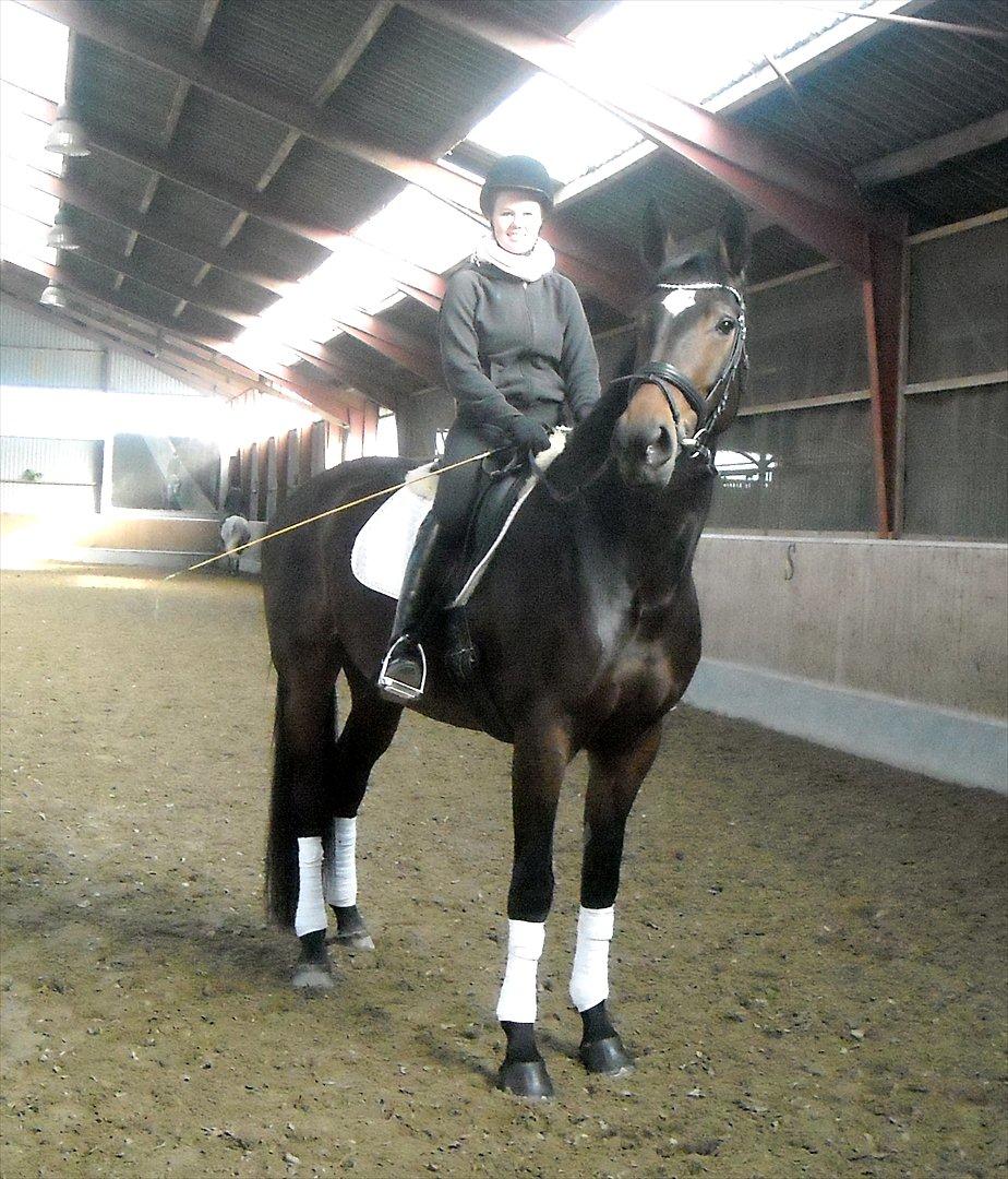 Tysk Varmblod Dolli - Da jeg var oppe og prøve hende :D billede 3