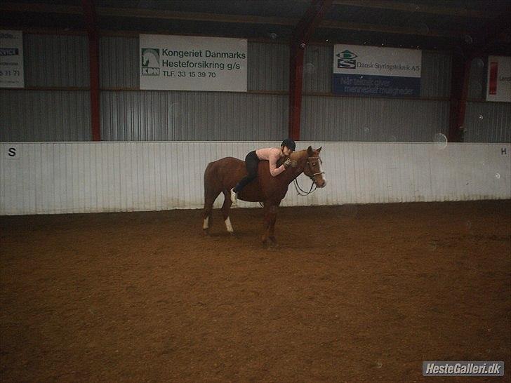 Anden særlig race Santos R.I.P. BABY:'( - Jeg smiler altid når jeg er hos dig min baby :*
Du betyder altfor mig <3:*
Fotograf: Cecilia Worm  billede 18