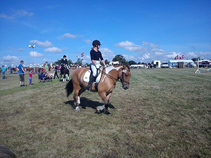 {{currentPhoto.altText}} billede {{currentPhoto.number}}